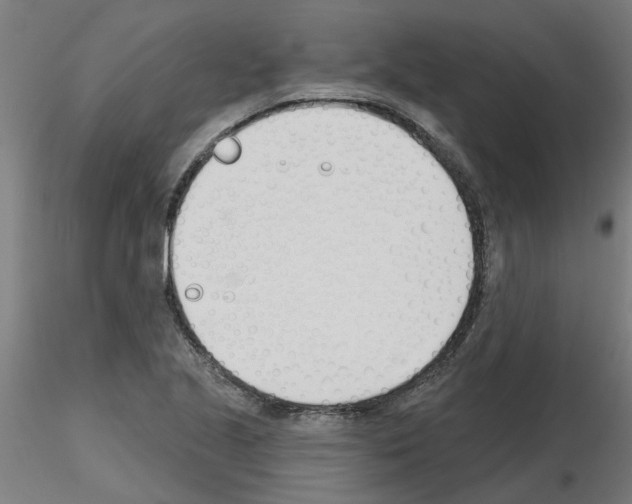 X0000116151221201001041046