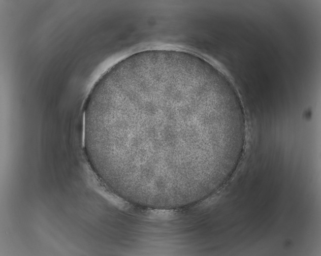 X0000116151223201001041046