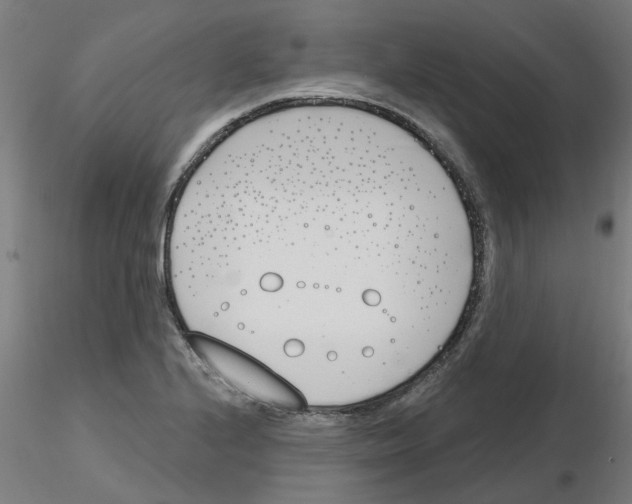 X0000116151224201001041046