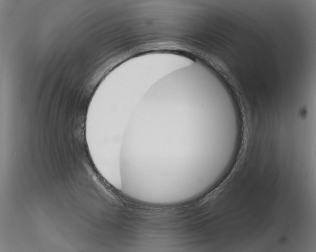 X0000116151225201001041046