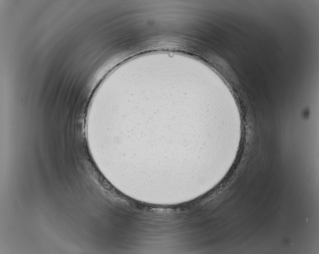 X0000116151226201001041046