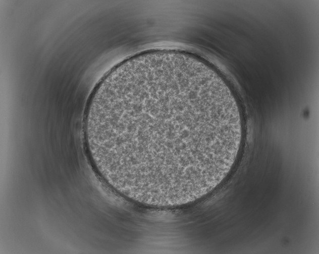 X0000116151229201001041046