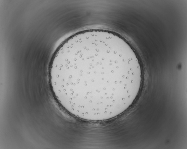 X0000116151230201001041046