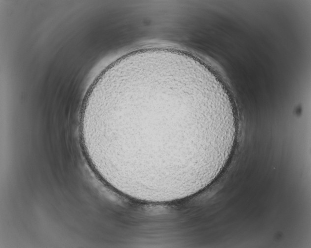 X0000116151231201001041046