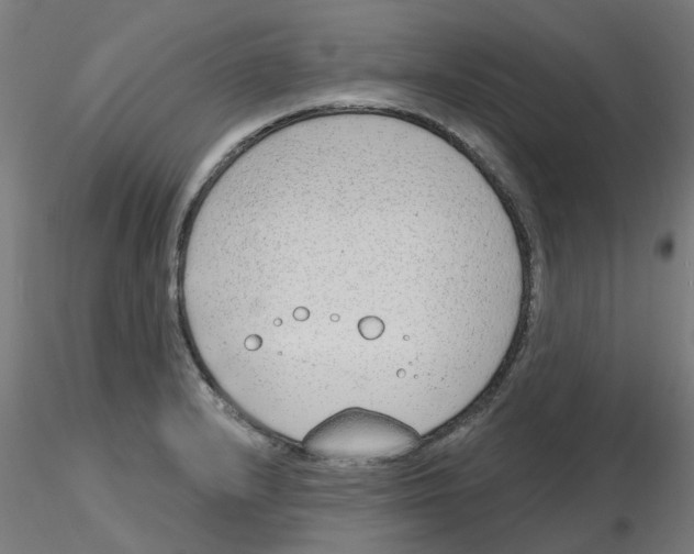 X0000116151232201001041046