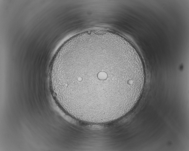 X0000116151235201001041046