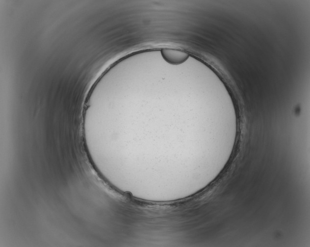 X0000116151236201001041046