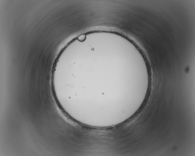 X0000116151237201001041046