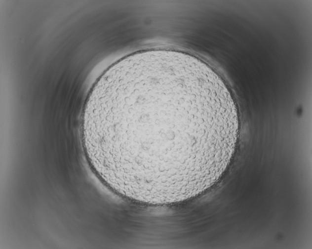 X0000116151239201001041046