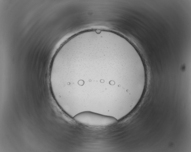 X0000116151240201001041046