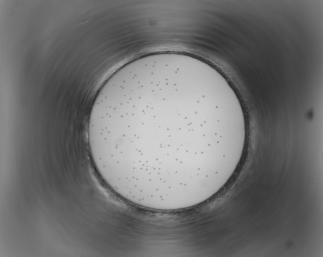 X0000116151241201001041046