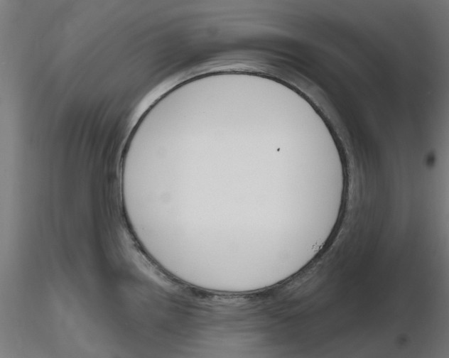 X0000116151242201001041047