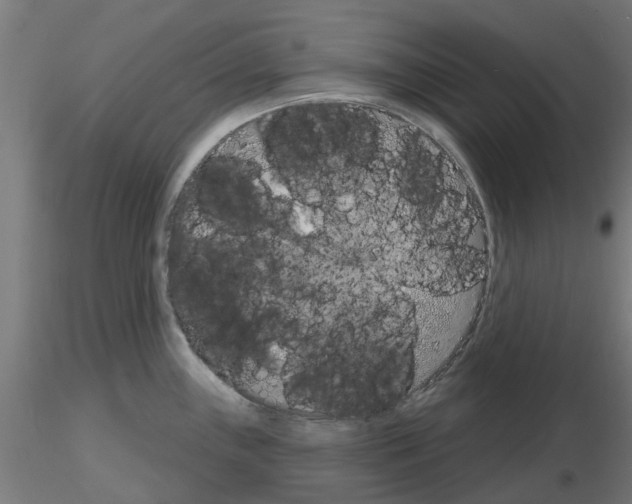 X0000116151243201001041047