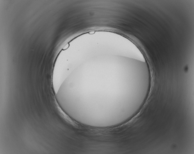 X0000116151244201001041047