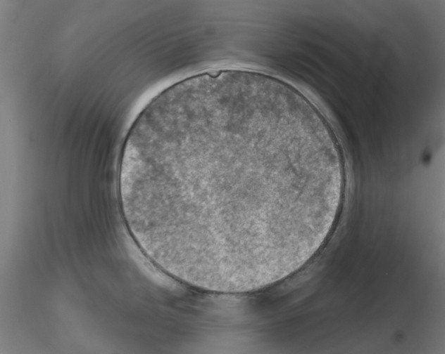 X0000116151246201001041047