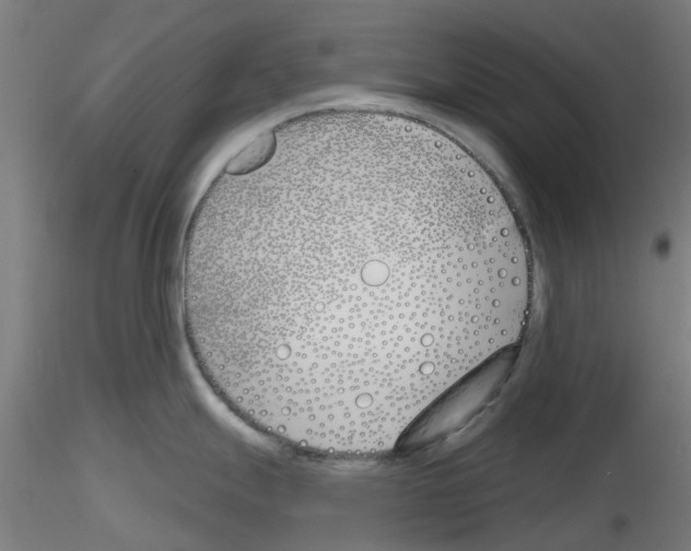 X0000116151247201001041047