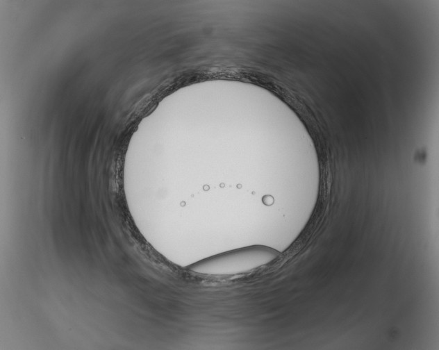 X0000116151250201001041046