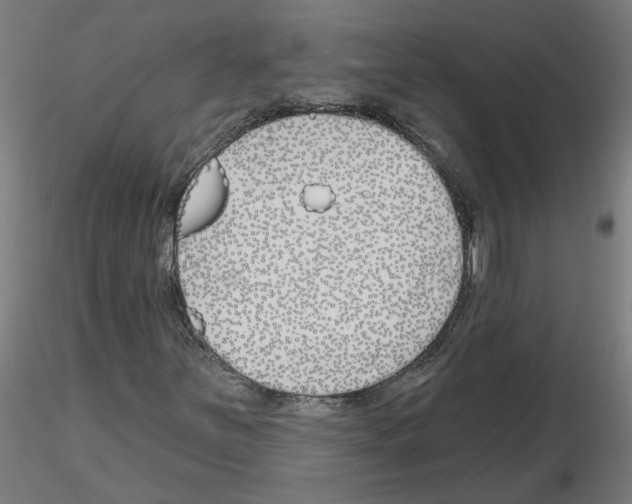 X0000116151251201001041046