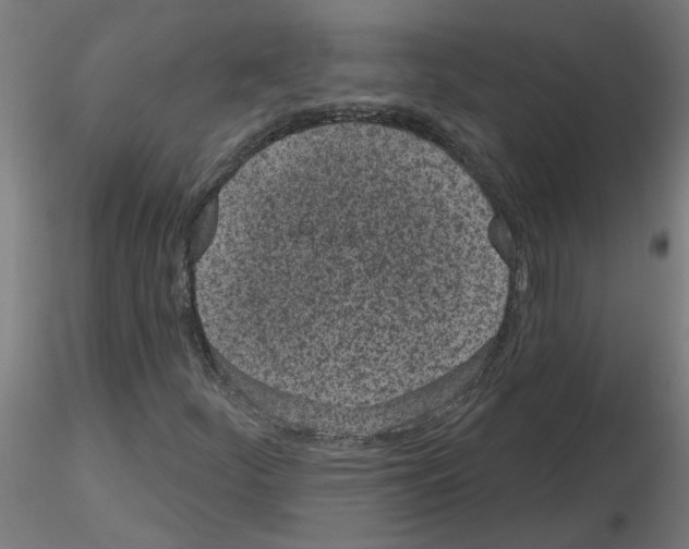 X0000116151252201001041046