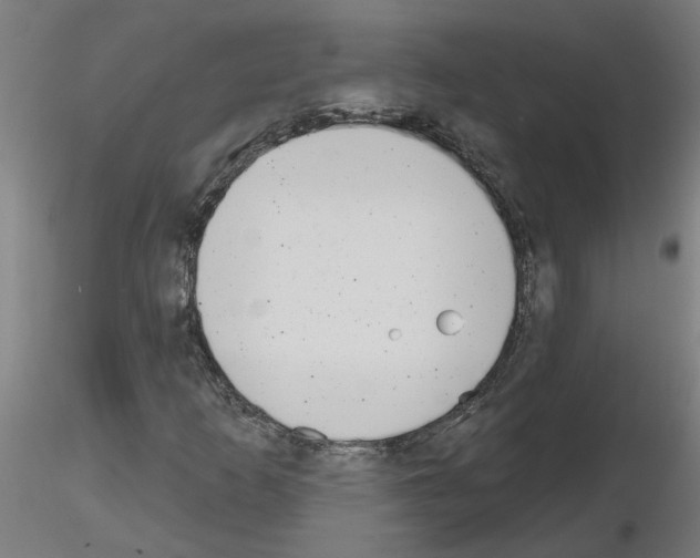 X0000116151253201001041046