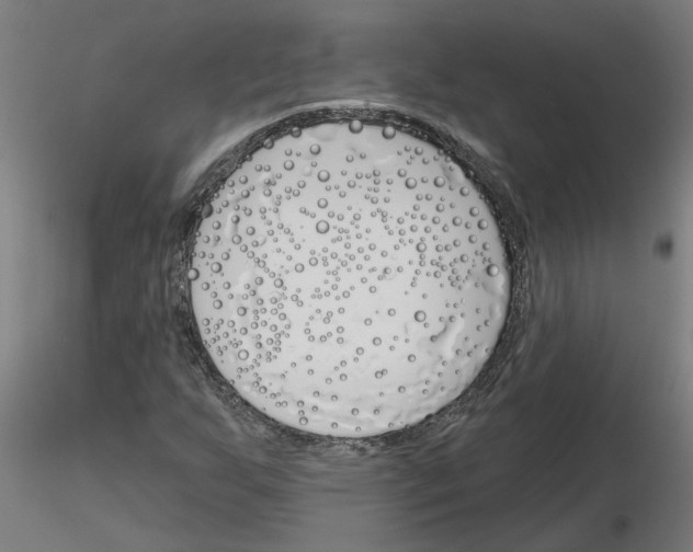 X0000116151255201001041046