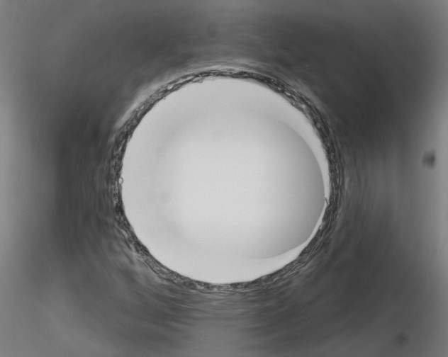 X0000116151256201001041046