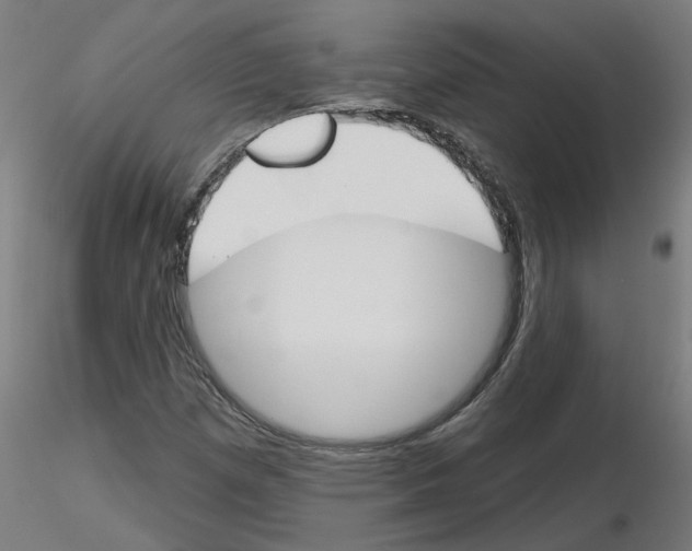 X0000116151257201001041046