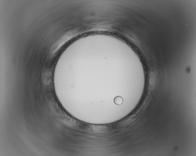 X0000116151258201001041046