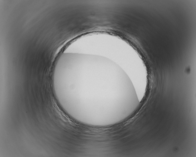 X0000116151260201001041046