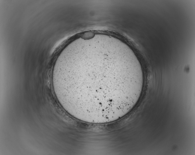 X0000116151262201001041046