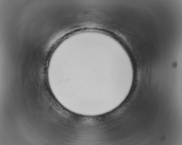 X0000116151263201001041046