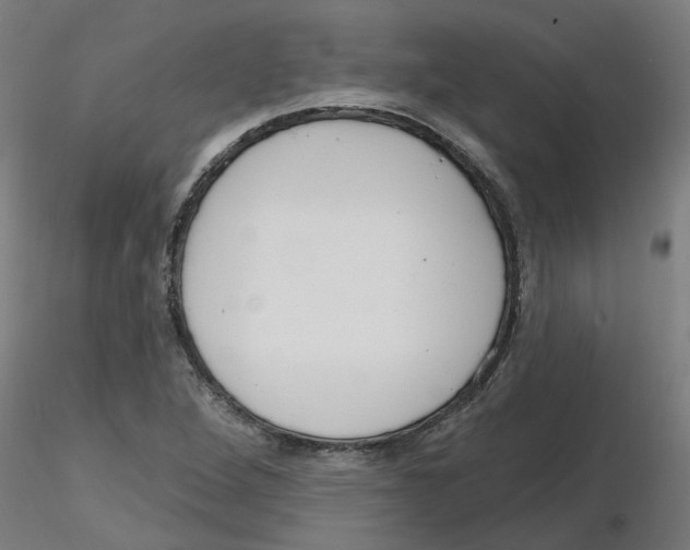 X0000116151264201001041046