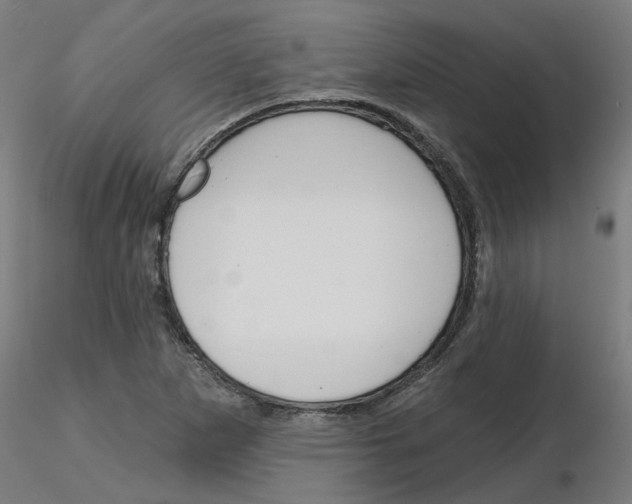 X0000116151265201001041046