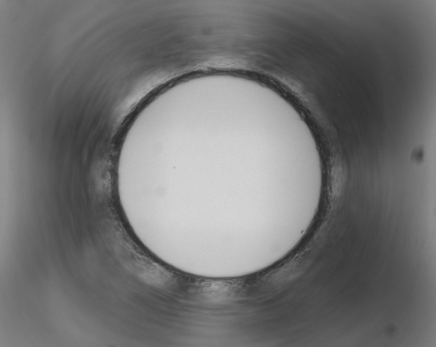 X0000116151266201001041046