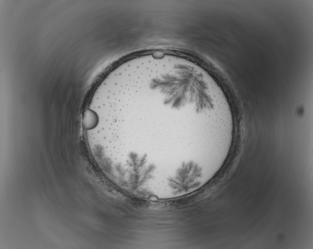 X0000116151267201001041046