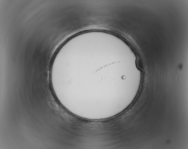 X0000116151268201001041046