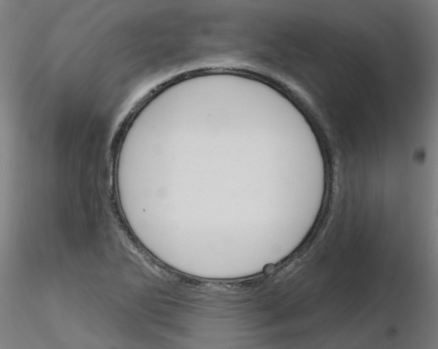 X0000116151270201001041046