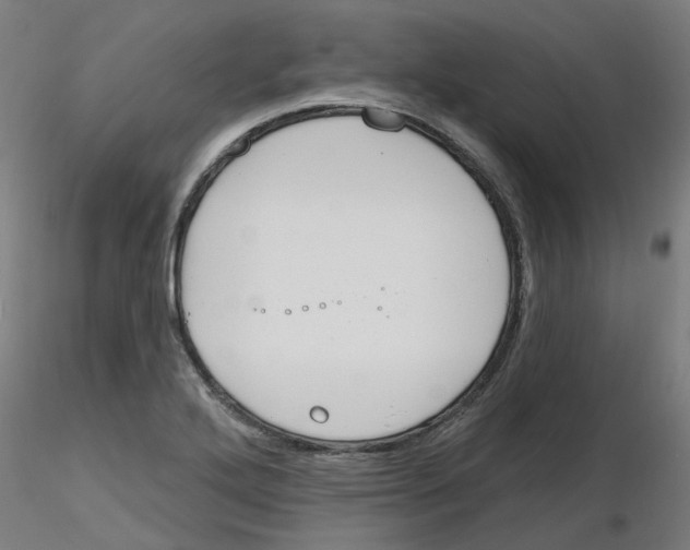 X0000116151272201001041046