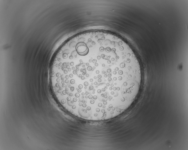 X0000116151274201001041046