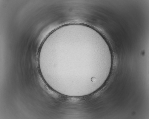 X0000116151278201001041046