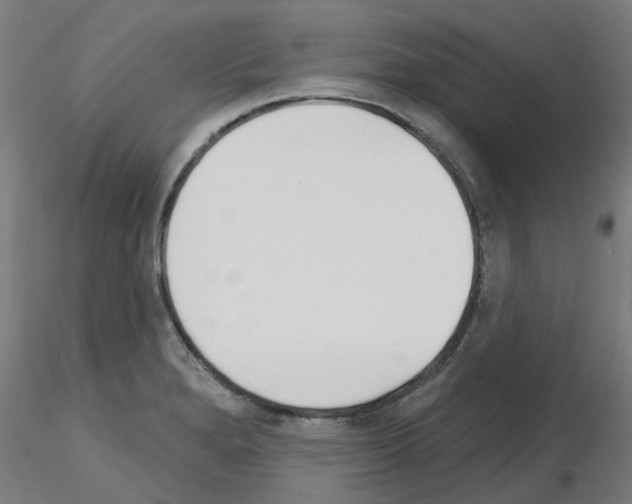 X0000116151280201001041046