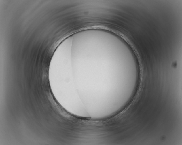 X0000116151281201001041046