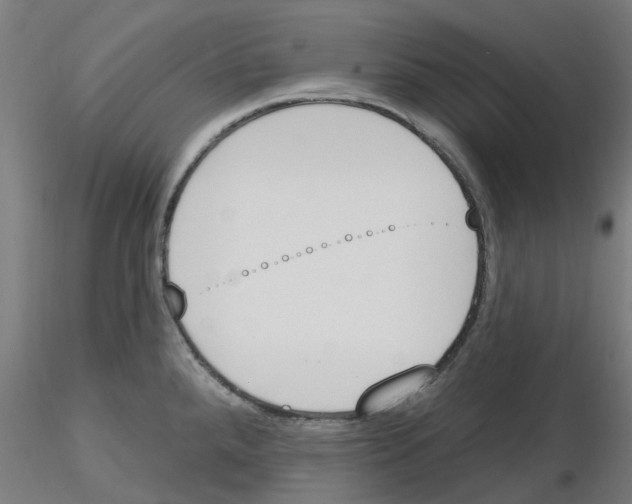 X0000116151288201001041045