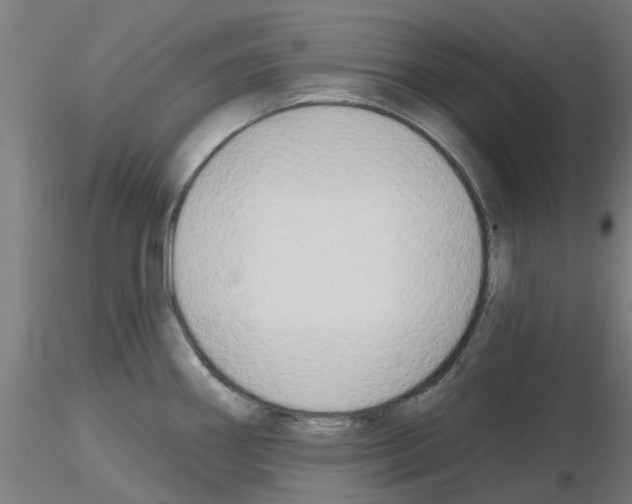 X0000116151290201001041045