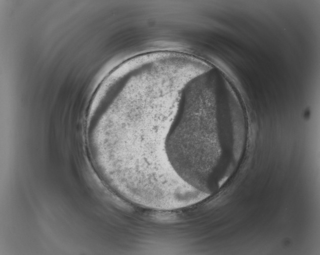 X0000116151291201001041045