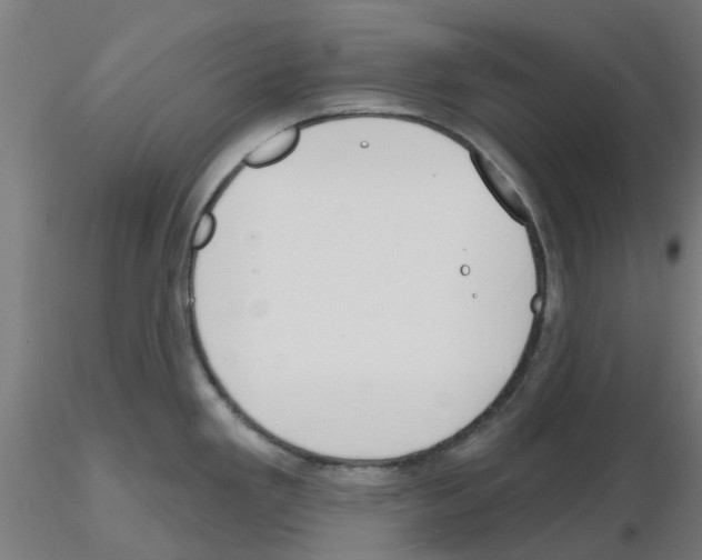 X0000116151293201001041045