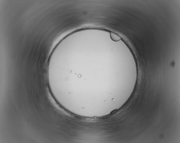 X0000116151295201001041045