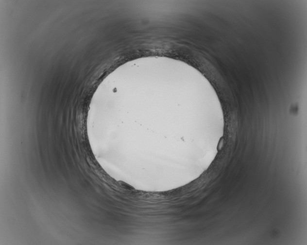 X0000116151298201001041045