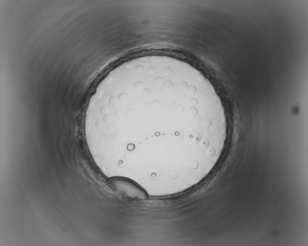 X0000116151305201001041045