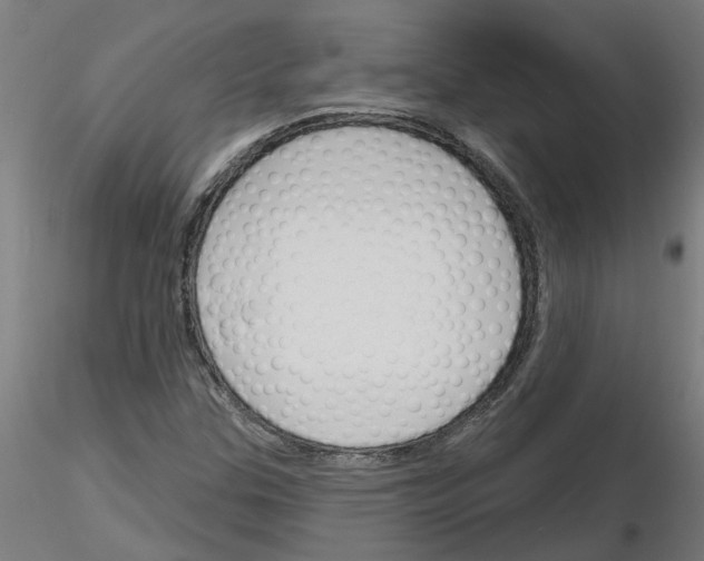 X0000116151307201001041045